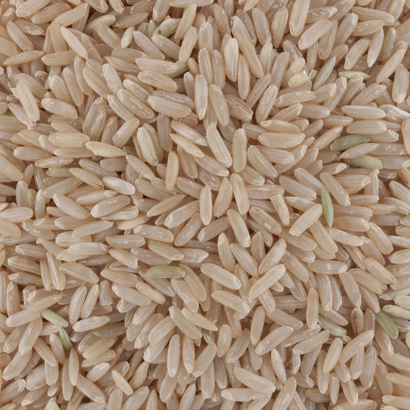 Riz long complet BIO de Camargue IGP, Pâtes, riz & céréales